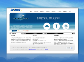 山东金软科技有限公司
